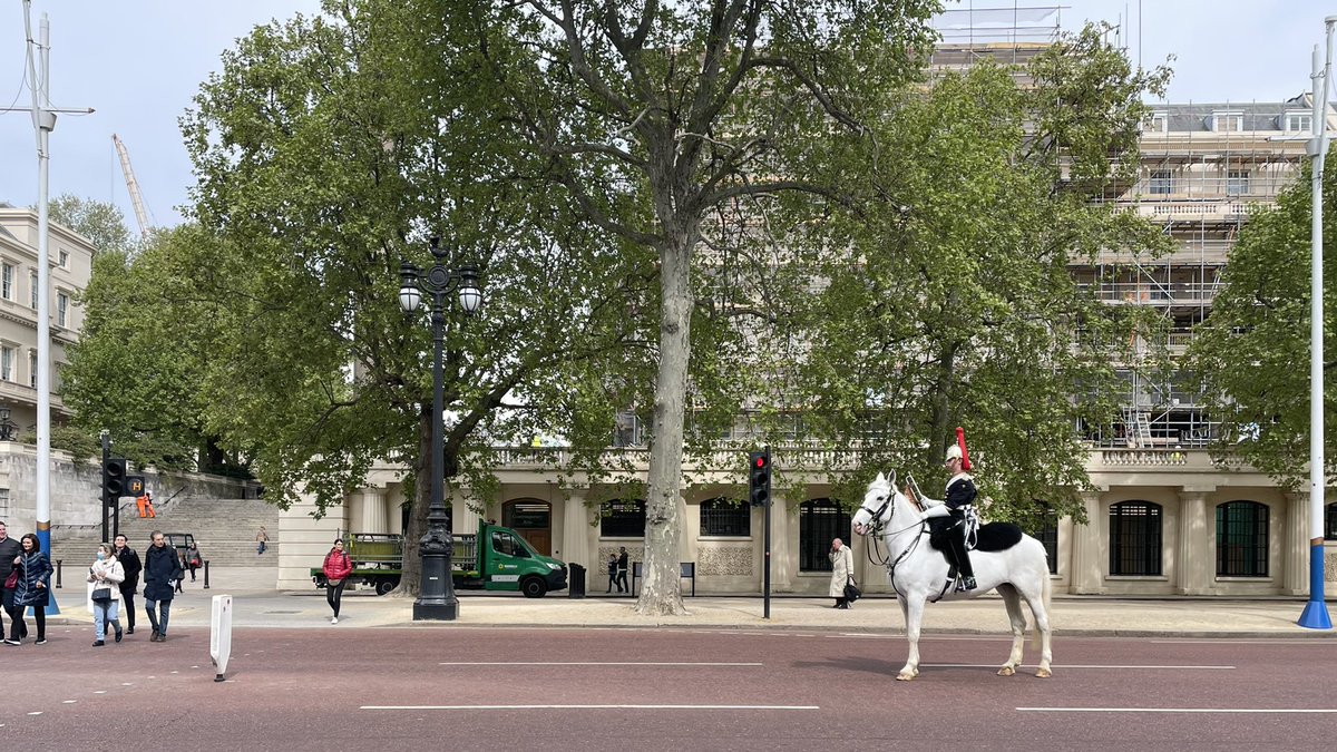 scenes from london: waiting for the light