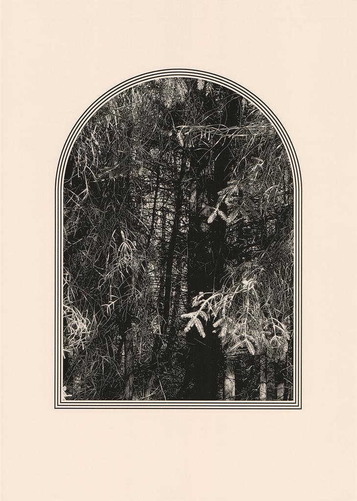 Nick_Mobbs's tweet photo. I’m showing new work in @twoqueensstudio Members Show at GLOAM gallery, Sheffield - opening tomorrow (Friday 29 April), 6-9pm. Exhibition then open 30 April and 07 May, 12-4pm.

Image: ‘Entrance’, 2022, two layer laserprint on G F Smith Naturalis paper mounted on steel. https://t.co/7NHBPZ8jtu