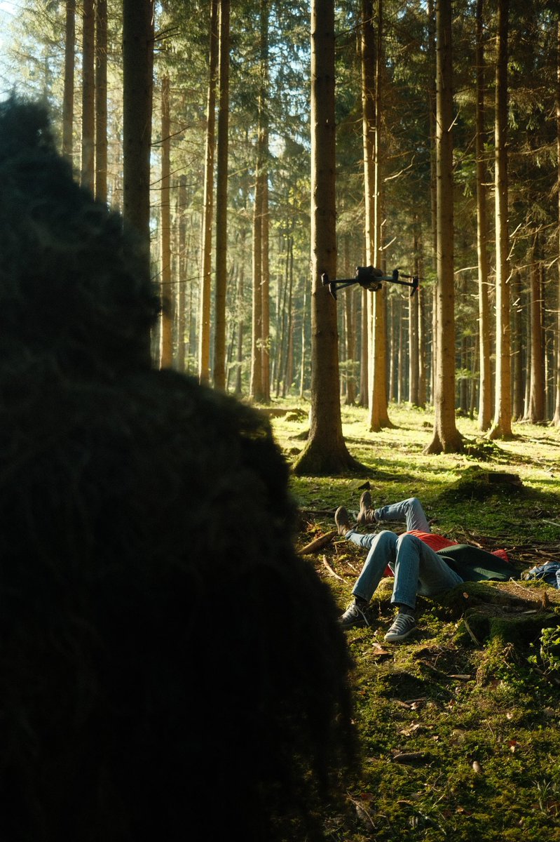 iTux's tweet photo. Today‘s production in the woods. https://t.co/vT4iW7iXiy