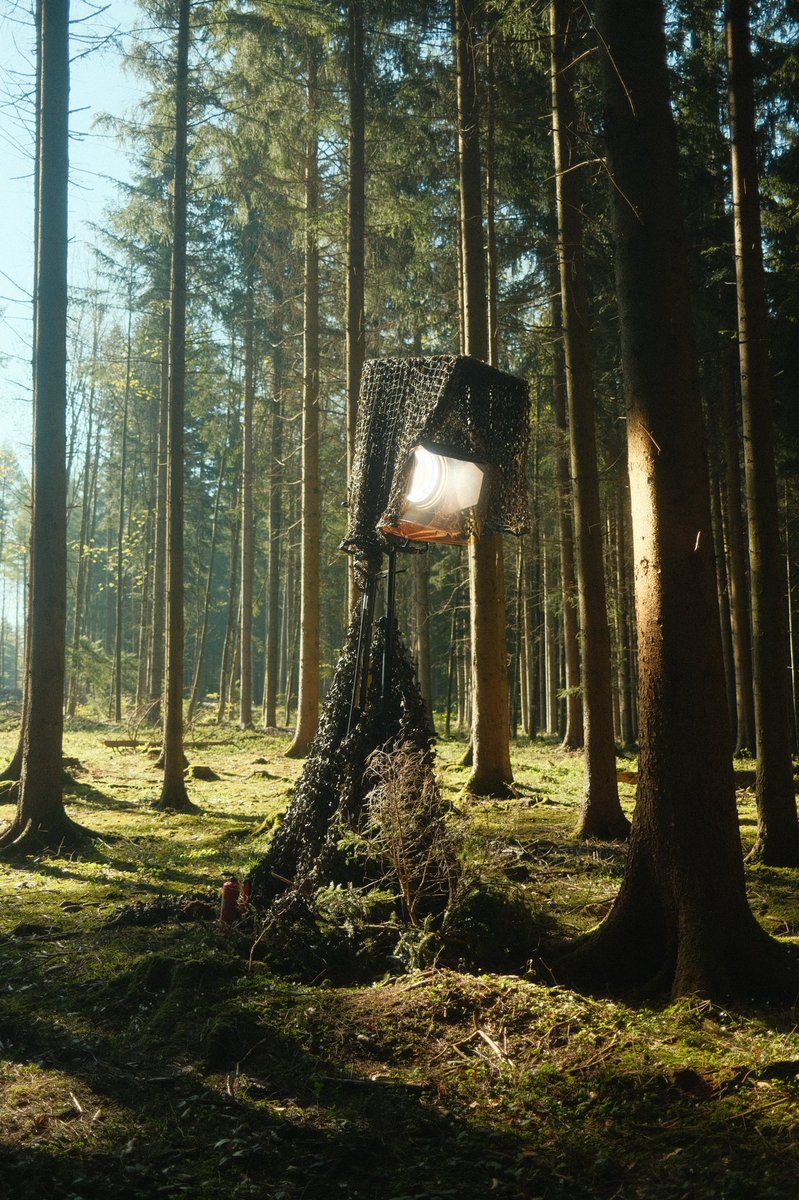 iTux's tweet photo. Today‘s production in the woods. https://t.co/vT4iW7iXiy