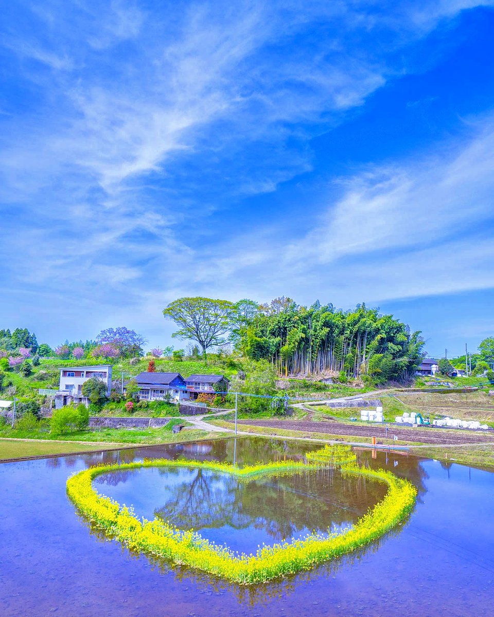 田舎を走っていると時折 こう言うサプライズがあるから嬉しい♡