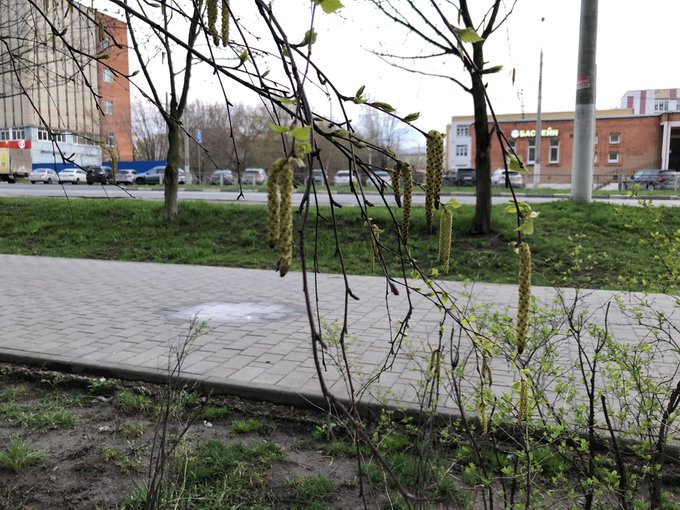 Весна https://t.co/2B1POX1OIP