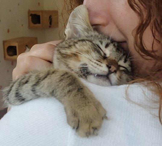 AAAAAAAAAA YİCEM https://t.co/59JzppI5l2<a href="/tag/yeniprofilresmi"class="tags"><span>#yeniprofilresmi</span></a>