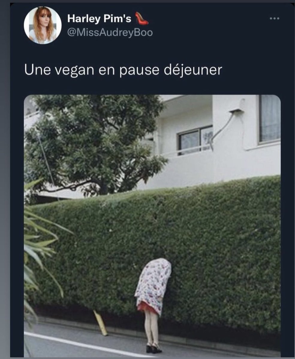 Michel Denisot (@michel_denisot) on Twitter photo 