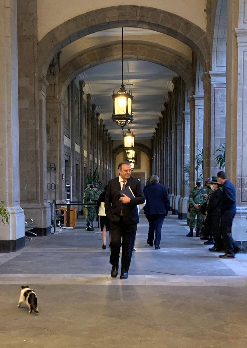 m_ebrard's tweet photo. Saliendo de Gabiente de Seguridad esta mañana. Todos los días acompaño al Presidente López Obrador en su perseverante esfuerzo por la transformación de México. Gratitud a la vida por esta experiencia única de participación. https://t.co/b7sDuBJzX4