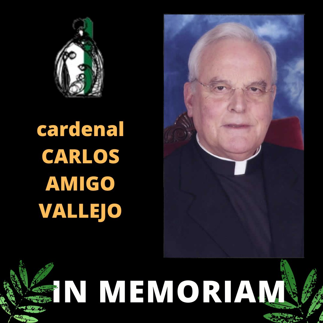 La familia belenista esperábamos con ilusión la ponencia del Cardenal Carlos Amigo en el próximo Congreso Internacional Belenista Franciscus 1223-2023. Desgraciadamente no la escucharemos pero él nos acompañará desde el gran belén celestial.
Nos unimos al pesar por su pérdida.