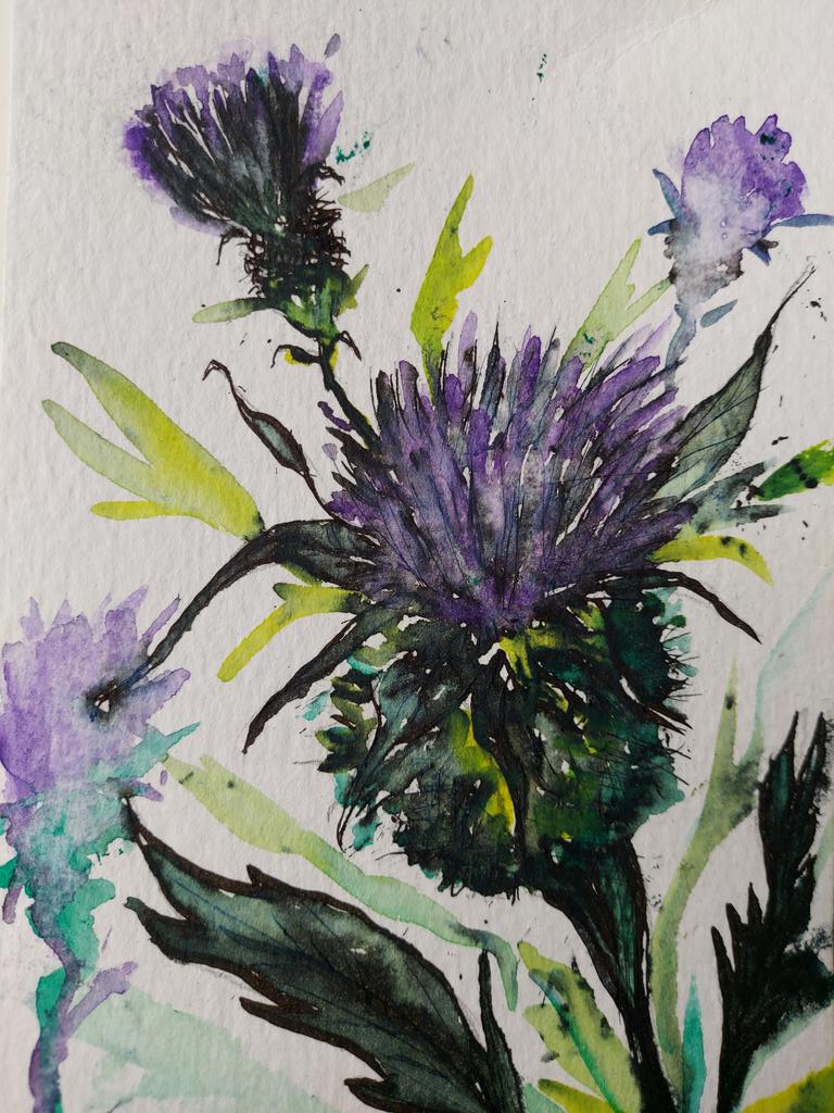 Last night's watercolour.. thistles for Thursday!