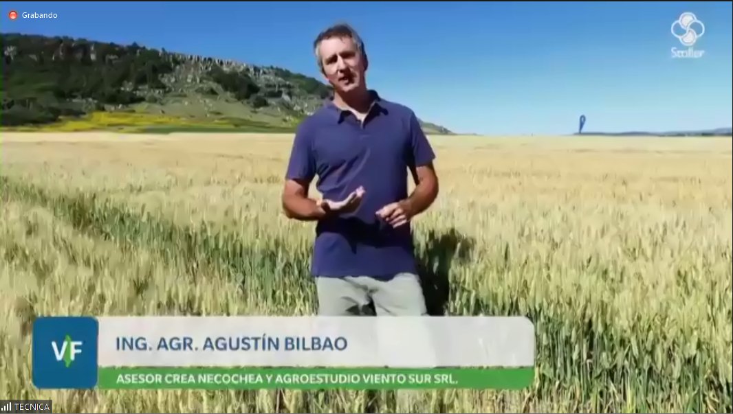 VientoSurAgro's tweet photo. Se largó con todo el #VirtualFieldStoller https://t.co/l49P30wC6F