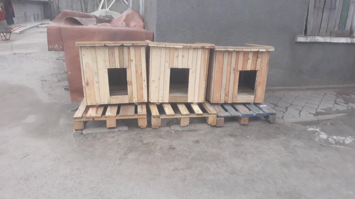 ROLDA Org tweet media