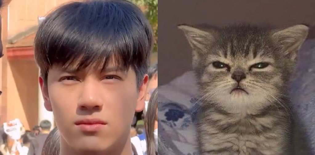 chxprxng's tweet photo. ˗ˏˋโง้ยยไอ่เหมียวเร้กของมัมเหมียว*ੈ✩‧

#mynameisnanon https://t.co/wdOjJeAMQ5