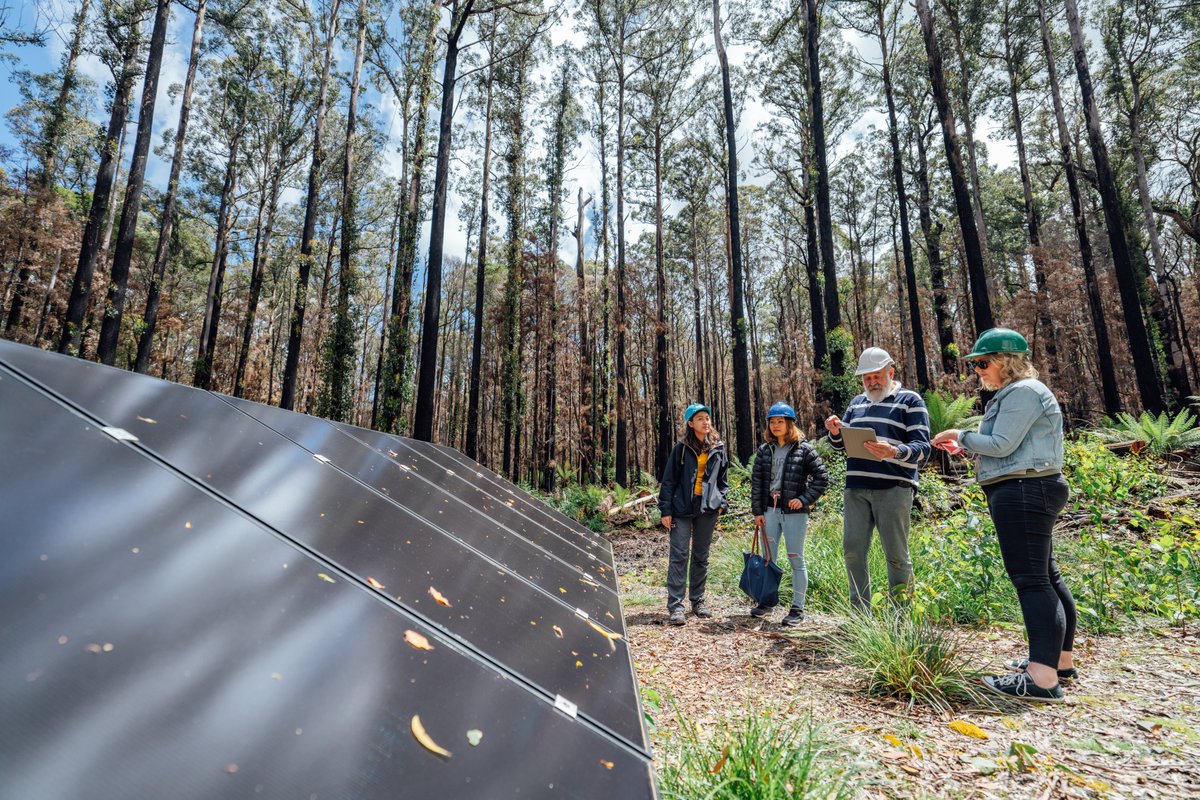 Thanks to the vision, passion & work of staff & students @UTAS_ is ranked #1 in the world for Climate Action in @timeshighered Impact Rankings. It reflects our deep commitment to create a sustainable future & opportunity for Tasmania to be a model for the world of #sustainability