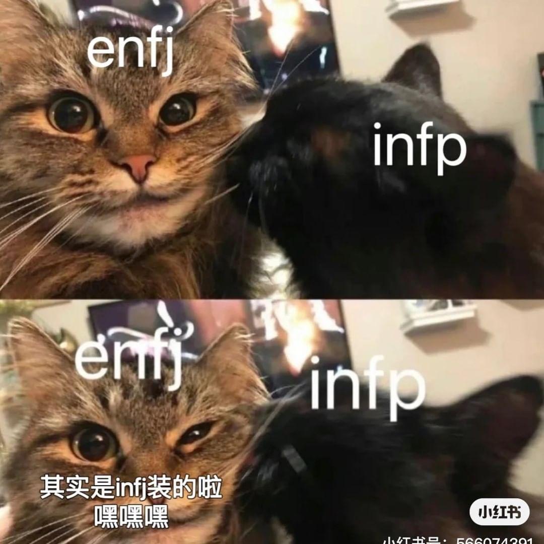 H03ZT's tweet photo. 化妝室的粼碎照with my roommate💩
#infj 和 #infp 的女孩 https://t.co/f2yl5AOhT4