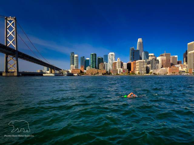 It was another good day on the bay!
Most people find Bridge to Bridge to be a good goal swim since it's a 10-kilometer tide ride that takes about 90 minutes. It's fun if you make it a party! 🎉 
You’re only an email away…
