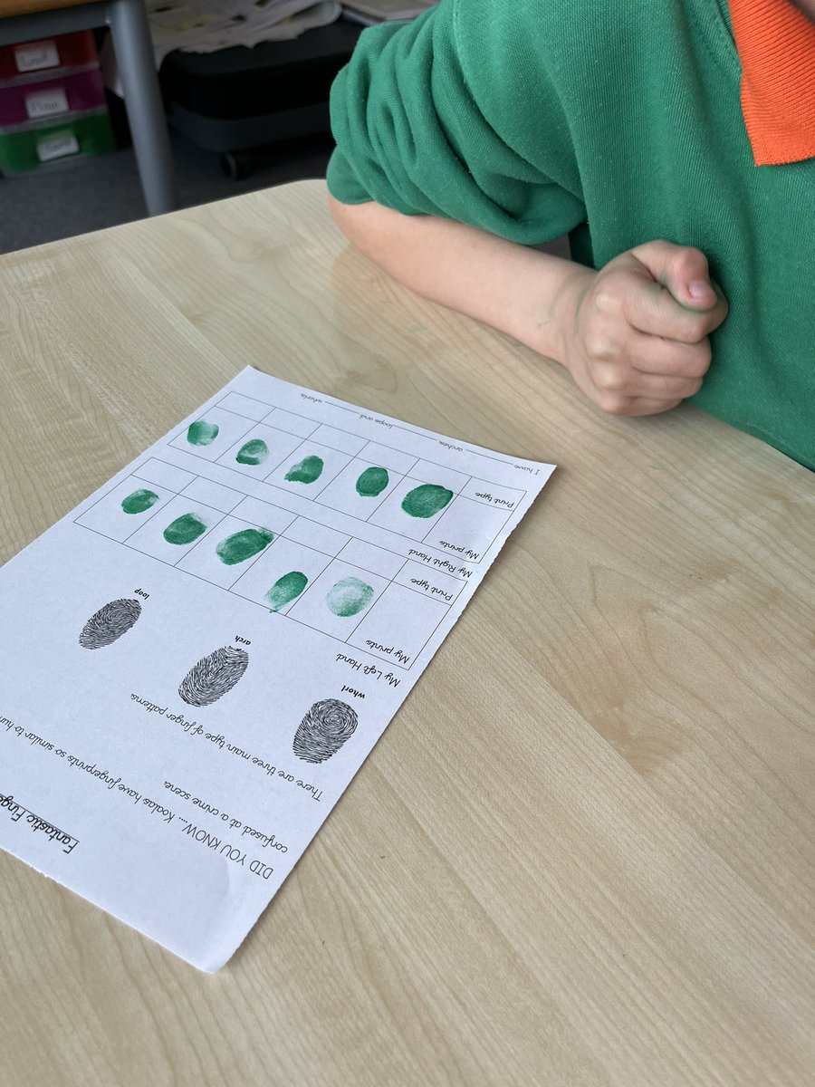 primary_ba's tweet photo. The Year 5 topic of ‘Crime and Punishment’ was introduced today with an investigation into finger prints. They also learnt about other forensic techniques for solving crimes. What shapes are your fingers prints? #forensics #primaryhistory https://t.co/dtJM4u8yk5