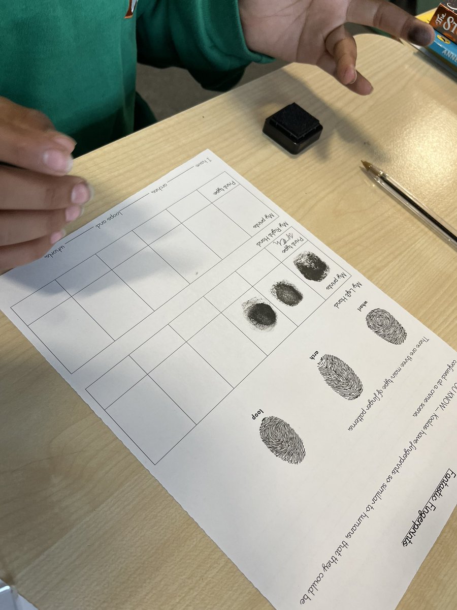 primary_ba's tweet photo. The Year 5 topic of ‘Crime and Punishment’ was introduced today with an investigation into finger prints. They also learnt about other forensic techniques for solving crimes. What shapes are your fingers prints? #forensics #primaryhistory https://t.co/dtJM4u8yk5