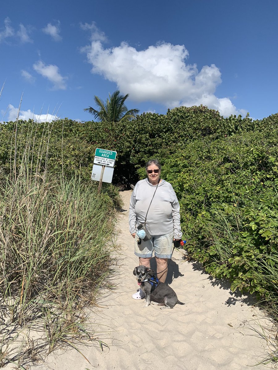 DaSchnoodle's tweet photo. I enjoyed my work taking care of my mom as we all went to the east coast Vero Beach &amp; Miami beaches like Haulover Beach enjoyed being out again working. Miss my pal @luna_rescue_dog We even stayed overnight in a hotel. Oh the fun traveling again. https://t.co/yOIySklMep
