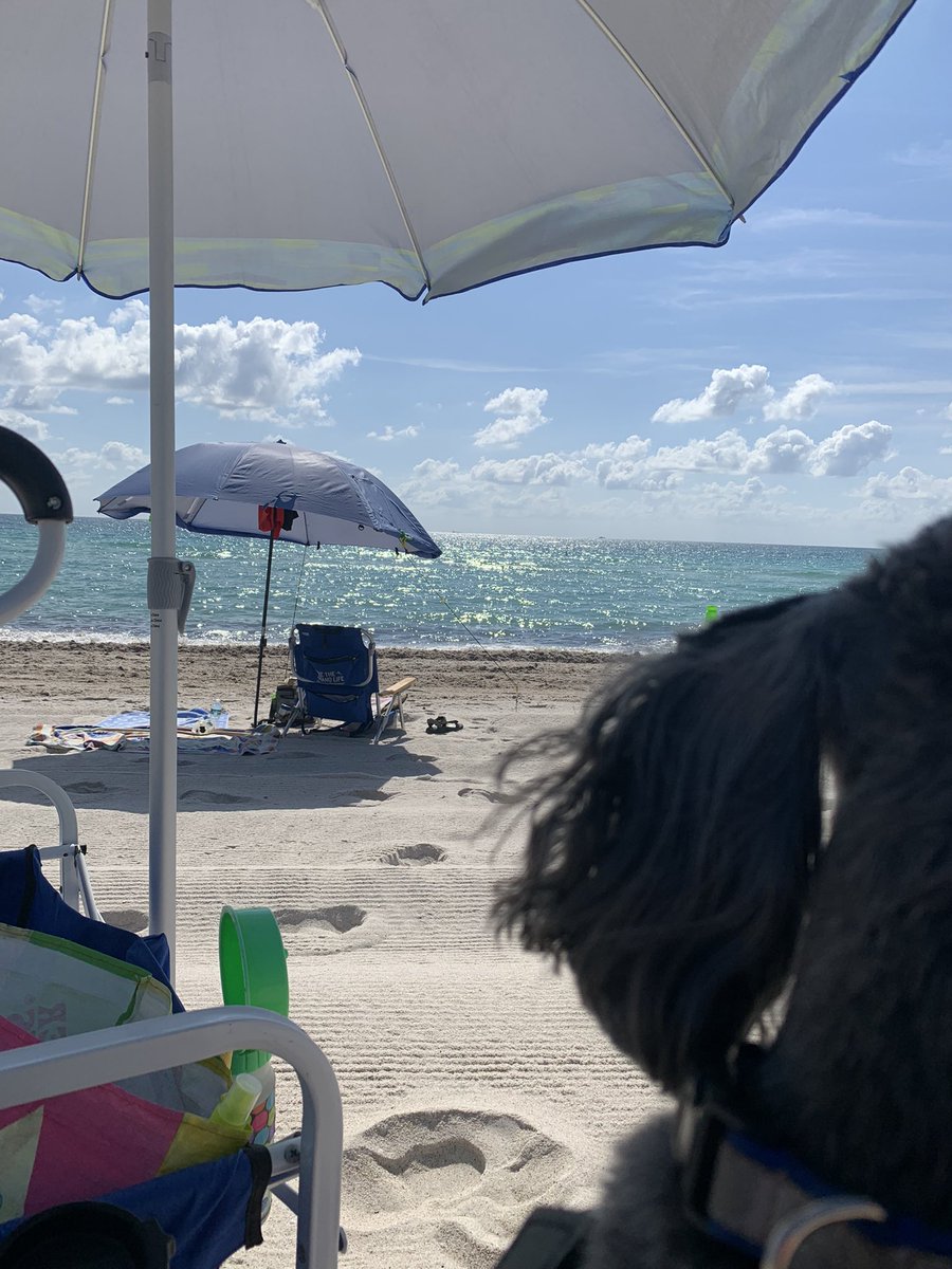 I enjoyed my work taking care of my mom as we all went to the east coast Vero Beach &amp; Miami beaches like Haulover Beach enjoyed being out again working. Miss my pal <a href="/luna_rescue_dog/">Luna</a> We even stayed overnight in a hotel. Oh the fun traveling again.