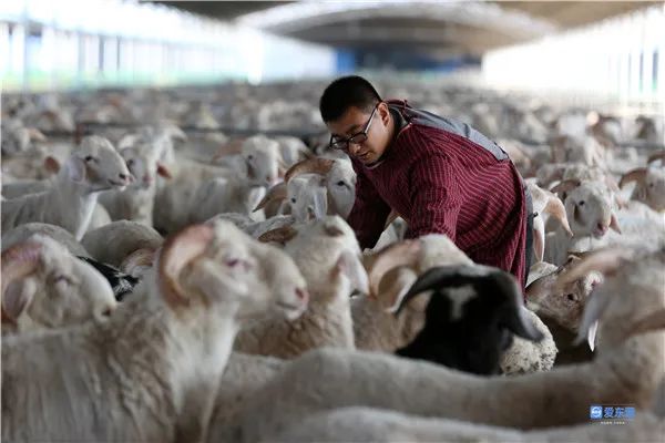 dongying2022's tweet image. #东营市 一季度经济运行有关情况 #econmerce performance 
2022-04-28
生产供给有力，需求拉动增强，发展活力提升。
mp.weixin.qq.com/s/2PkfT1PlG7fd…