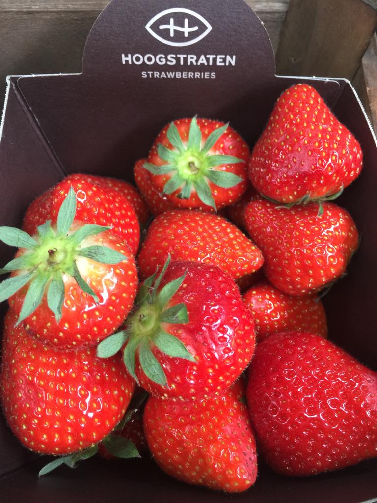 Knutsford Market Hall tweet media