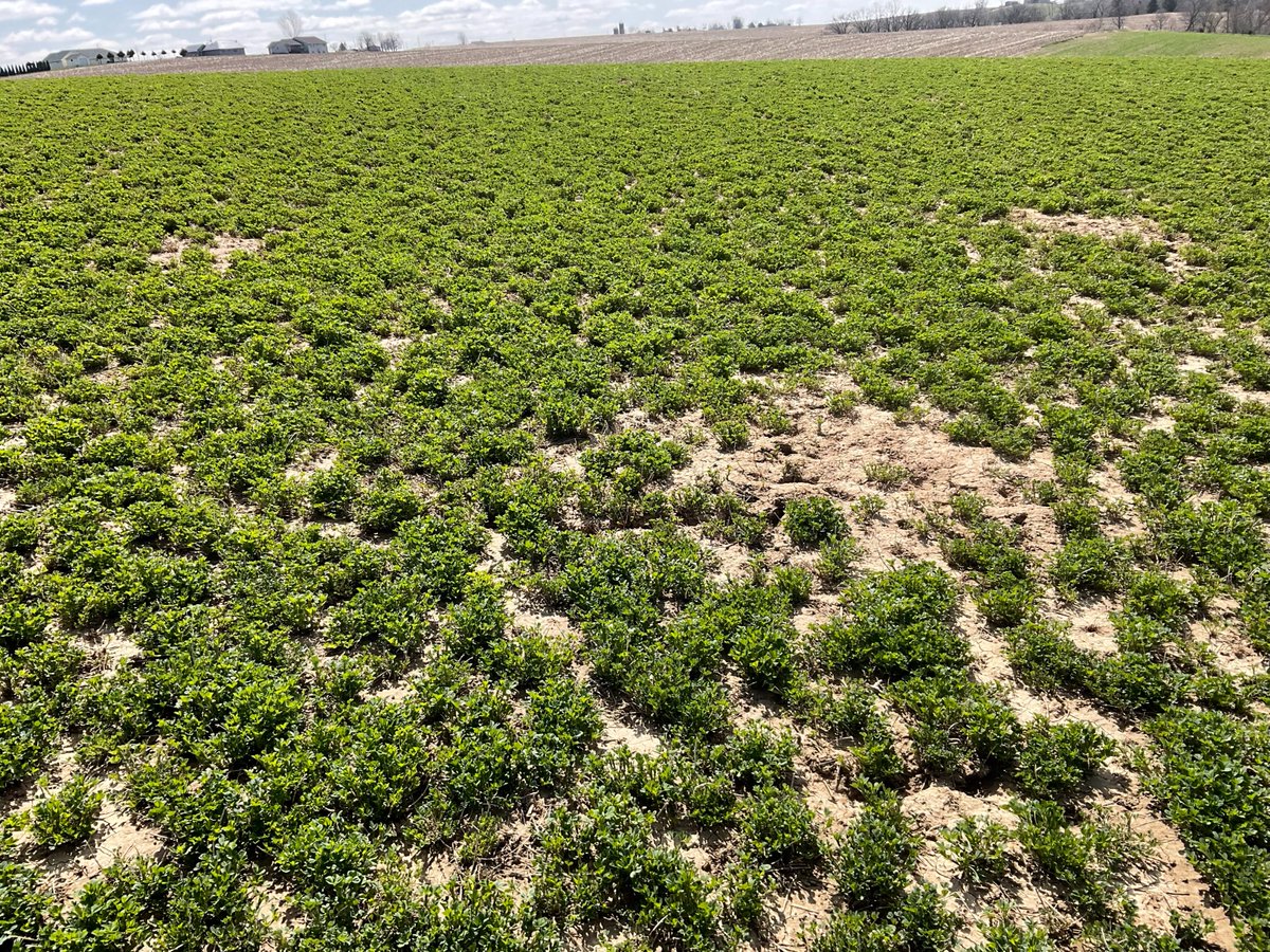 Pioneer Troy tweet media