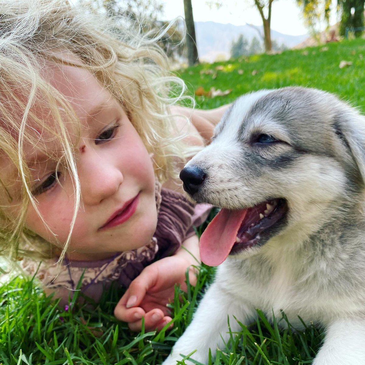 jamesvander959's tweet photo. Baby Lisa and is pet having fun Together https://t.co/C1PxsCi44i