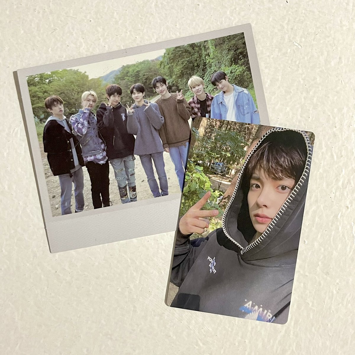 raichiboo's tweet photo. 🪴 #1015_mails 

 ◟ hello @sunoo_pill ! thank u so much for letting me adopt hee &amp; ur other pcs >< they came home safe 🫶🏻 also super luv the freebies !! 🌷

   #thxshab 🌱 https://t.co/KSeUNMVNVd