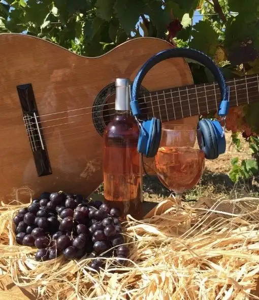 Un peu de musique pour dévoiler de nouvelles notes doretdevins.com/accords-musiqu… 

#vin #musique #accordsmusiquevin #accords