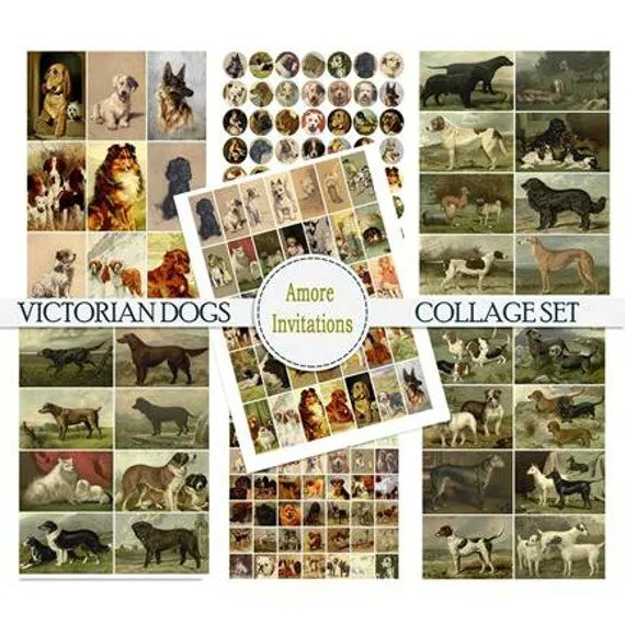 Ideal set for dog lovers! buff.ly/3L03qhE #jewellerysupplies #jewelrysupplies #jewellery #jewelry #etsy #etsystore #jewelrydesigner #etsyuk #papercrafts #scrap #craft #crafts #smallbusiness #collagesheets #jewelrydesign #etsyusa #shopetsy #dogsoftwitter #dogs