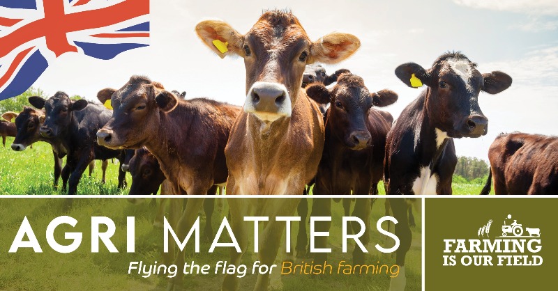 ArmstrongWatson's tweet photo. The Summer edition of Agri Matters has arrived! In this edition we cover topics such as potentially higher tax bills and tips on approaching your bank for extra facilities. PLUS a guest article from @DR_Rural, Rural Surveyors and Consultants! #farming #britishfarming