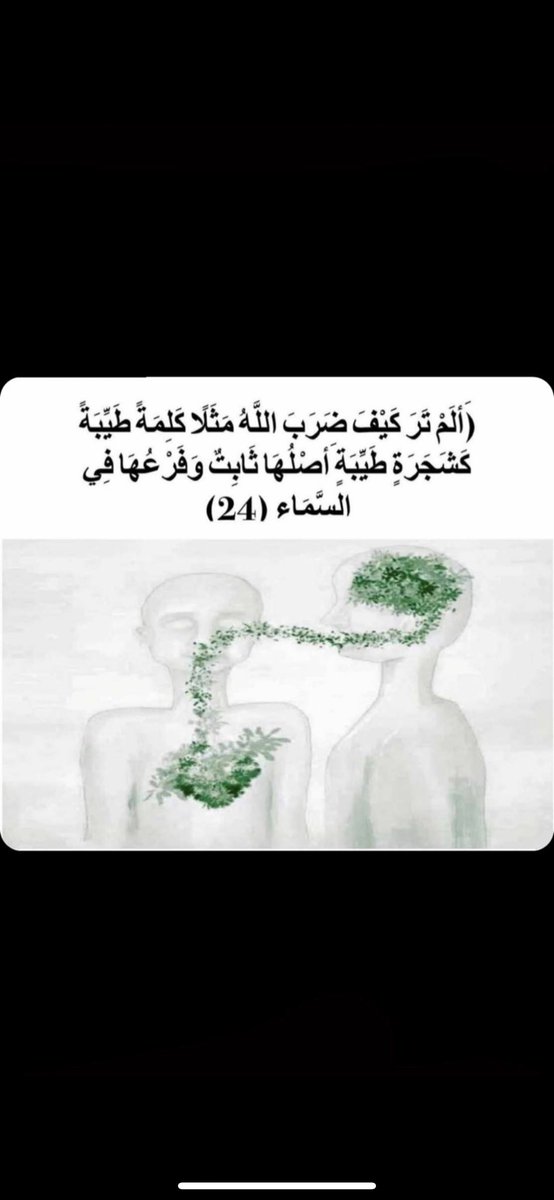 MoaathQ (@umq__) on Twitter photo 