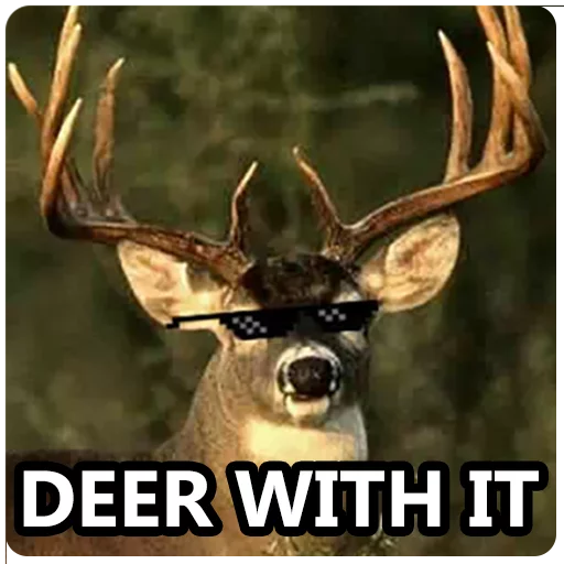 DeerHourly's tweet photo. https://t.co/g4Kxf902tu