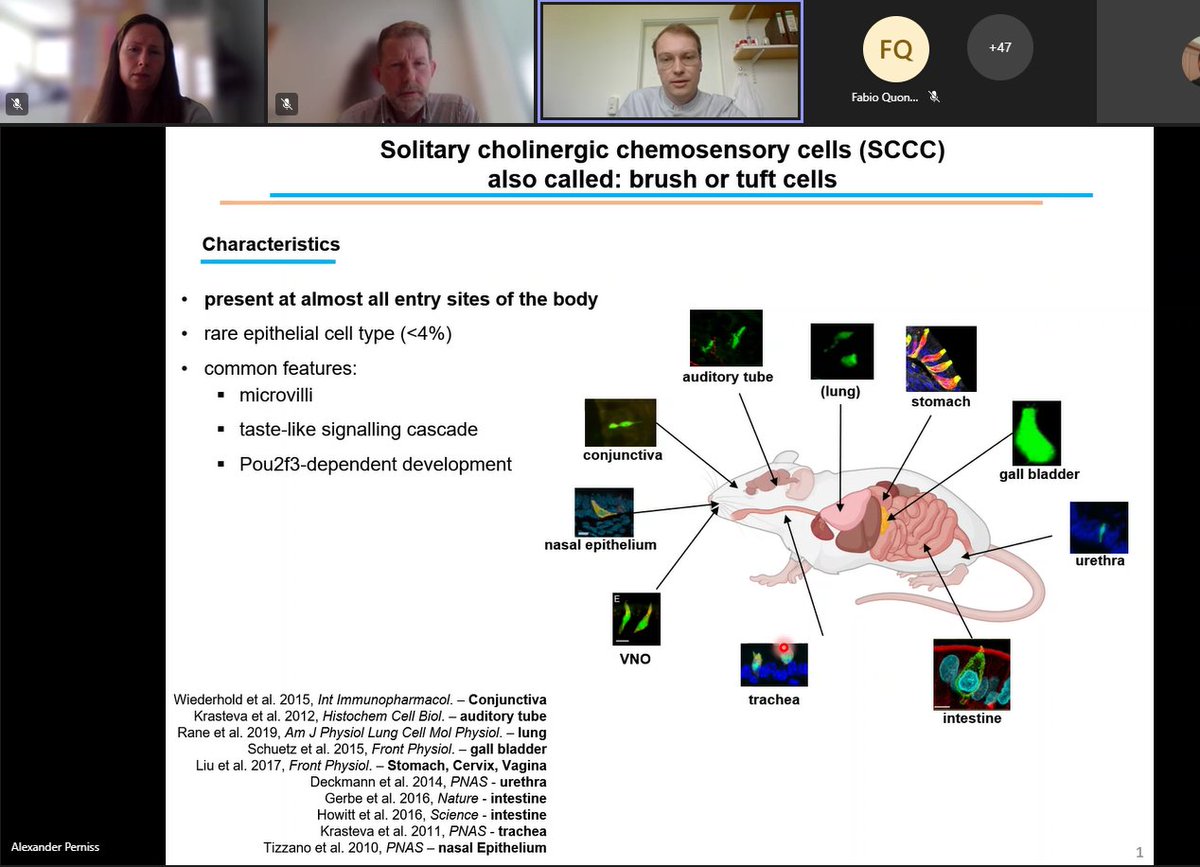 #EFEMsymposium22 Let's begin CAT A Session 4, Chair: Dr Adrian Dervan @AdrianDervan, RCSI Dublin @RCSI_Irl with Alexander Perniss @AlexanderPerni from the Anatomische Gesellschaft, Germany