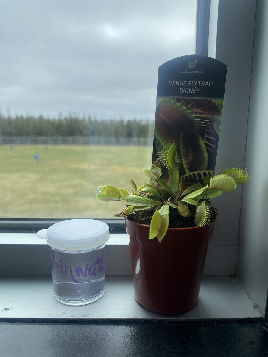 Mrs W. Nicholas tweet media