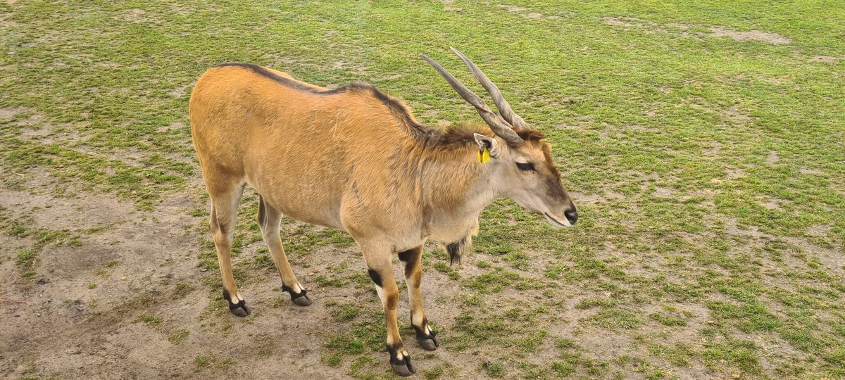 DIASENDteach's tweet image. What an amazing tour! #year1 #schooltrip @DevonshireInf