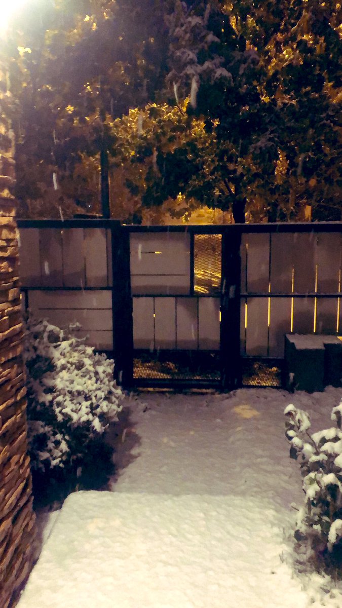 Que lindo arrancar la mañana con esta aventura ❄️
Yendo a trabajar ⛷