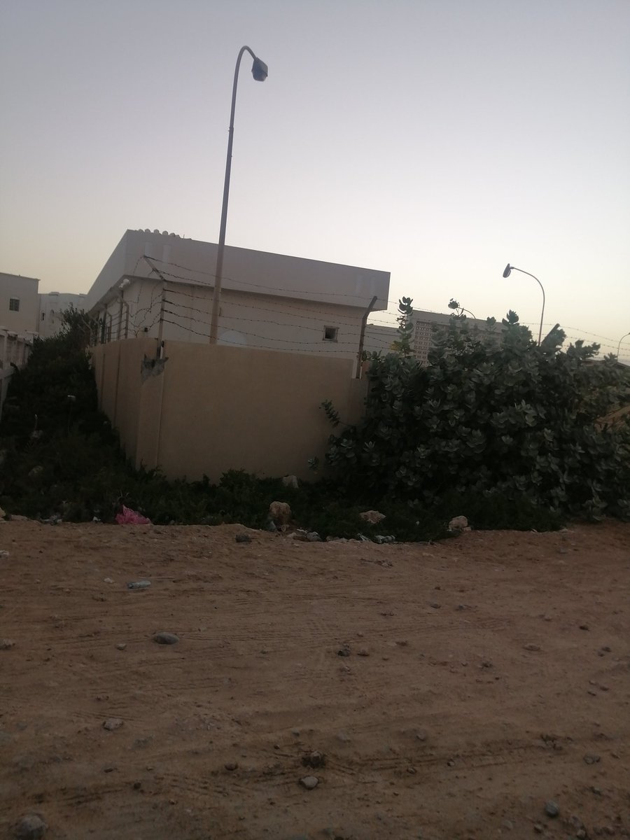 3rooh7's tweet photo. الاخوه في بلدية صور 
هذا المنظر ورا حديقة الشريه
تخيلوا كمية الزواحف اللي توجد ورا هالاشجار بقرب العاب للاطفال والعوائل
@Sur_NN1 
@sur_media1 https://t.co/z0cU5AoZNy