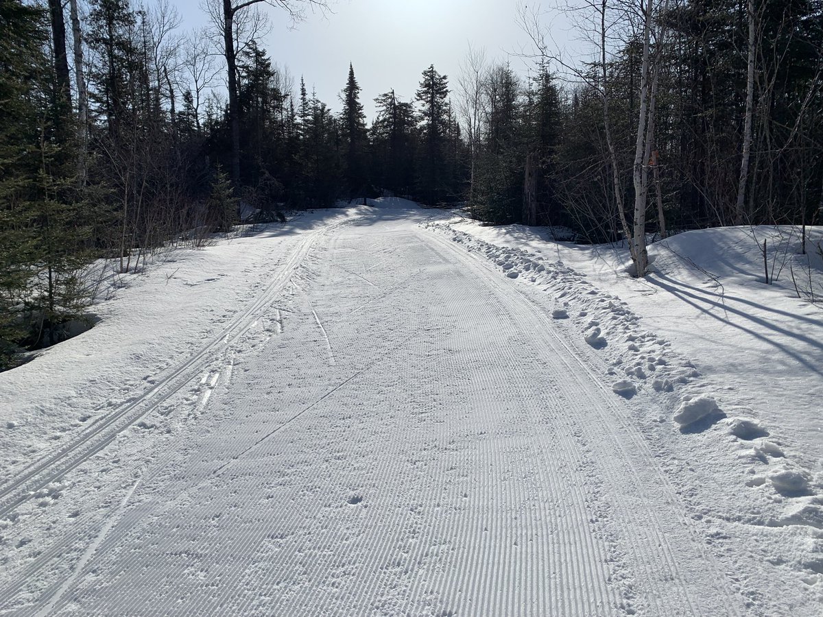 Lappe Nordic tweet media