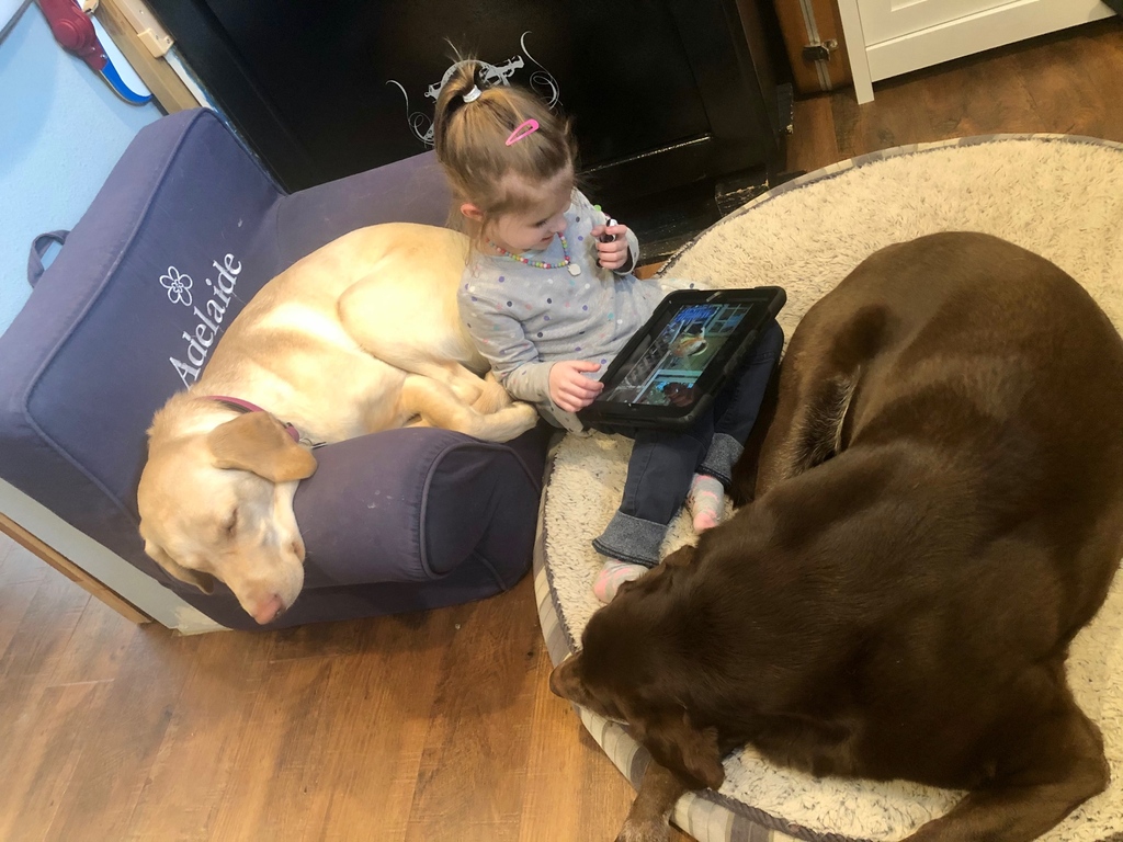 Luckily for the tiny human &amp; the pups, Mama's "work" is just off the kitchen 🤣 It makes for a nice commute for all of us

#TakeOurDaughtersandSonstoWorkDay #Balancedfi
#workingmom #mompreneurlife #mompreneurs #wahmlife #womeninbusiness #findasmallbusiness
