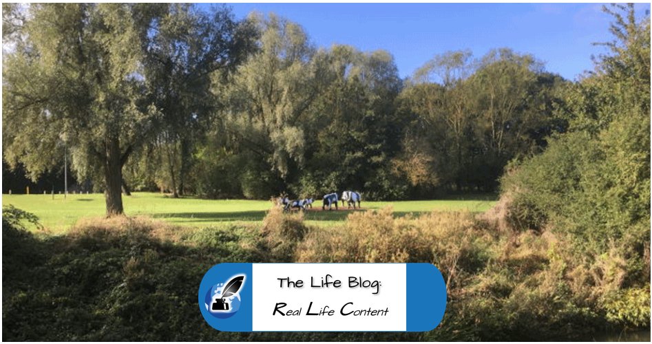 On the tenth anniversary of #LoveMKDay, here's my Love Letter to our fantastic adopted home - and why it's nothing like everyone told us it would be: rlcwords.co.uk/2019/07/19/fiv…
#LoveMK