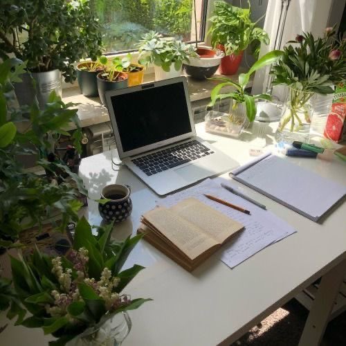 ohnosheknows's tweet photo. 🌿🤍 https://t.co/m9rz7PyXOW