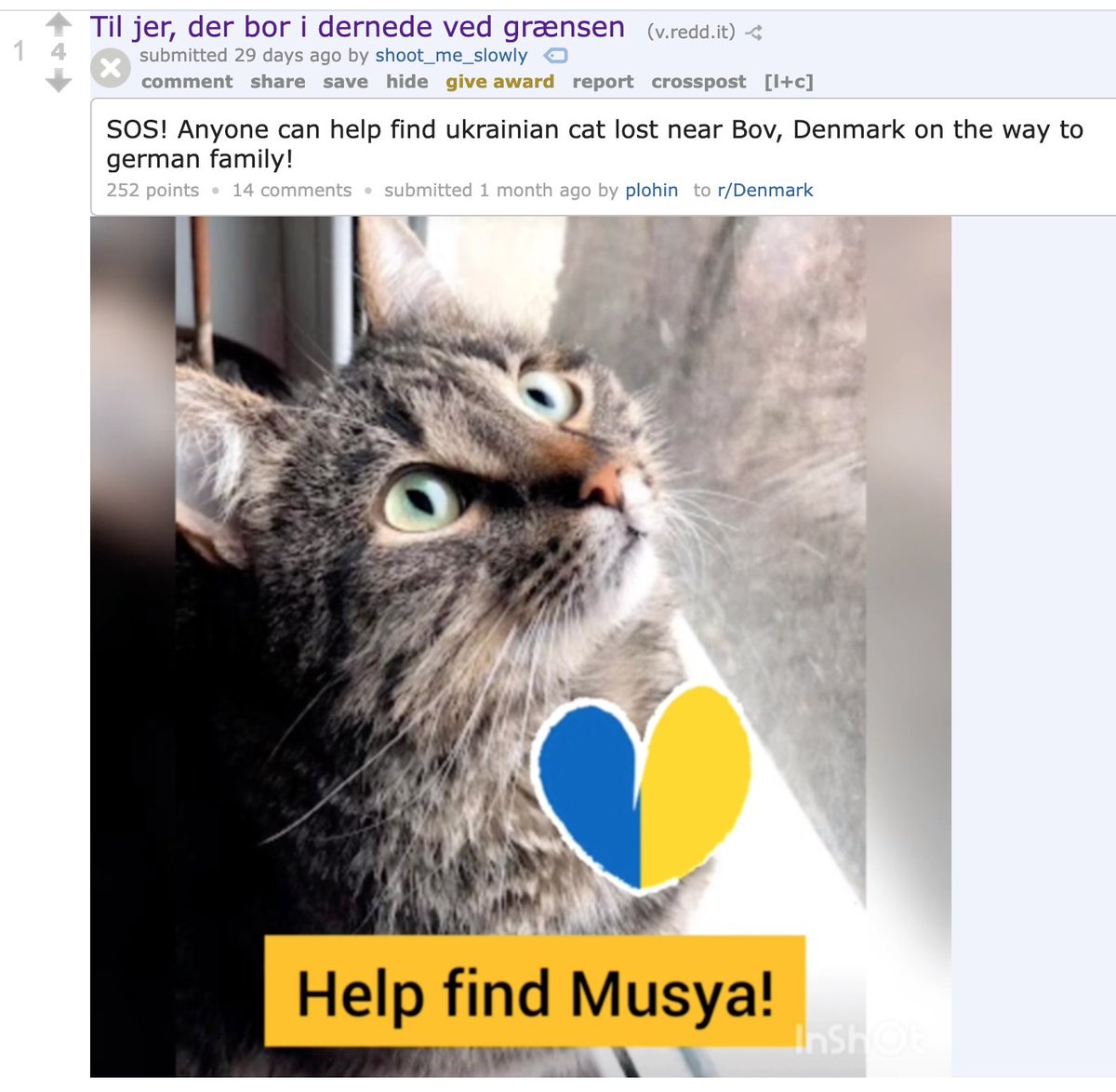 EverySubreddit's tweet photo. Every Single Subreddit #11

r/aanenraa

"Subreddit for the Danish town, Aaneraa" 

Subs: 1,941

Top post: Til jer, der bor i dernede ved grænsen

#aaneraa #everysinglesubreddit #reddit https://t.co/olNIB5X5O1