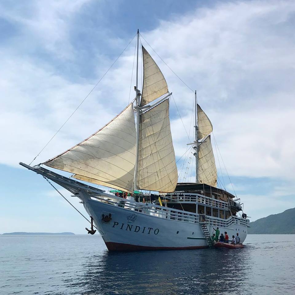 ScubaSensations's tweet photo. Raja Ampat Indonesia Dive Trip Feb 2023 - https://t.co/cZXl3alQMo https://t.co/nhFWEj11Cj