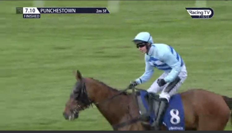 What a result …well done ⁦@Rex_Dingle⁩ ⁦@AJHoneyball⁩ another #punchestown winner for team Potwell