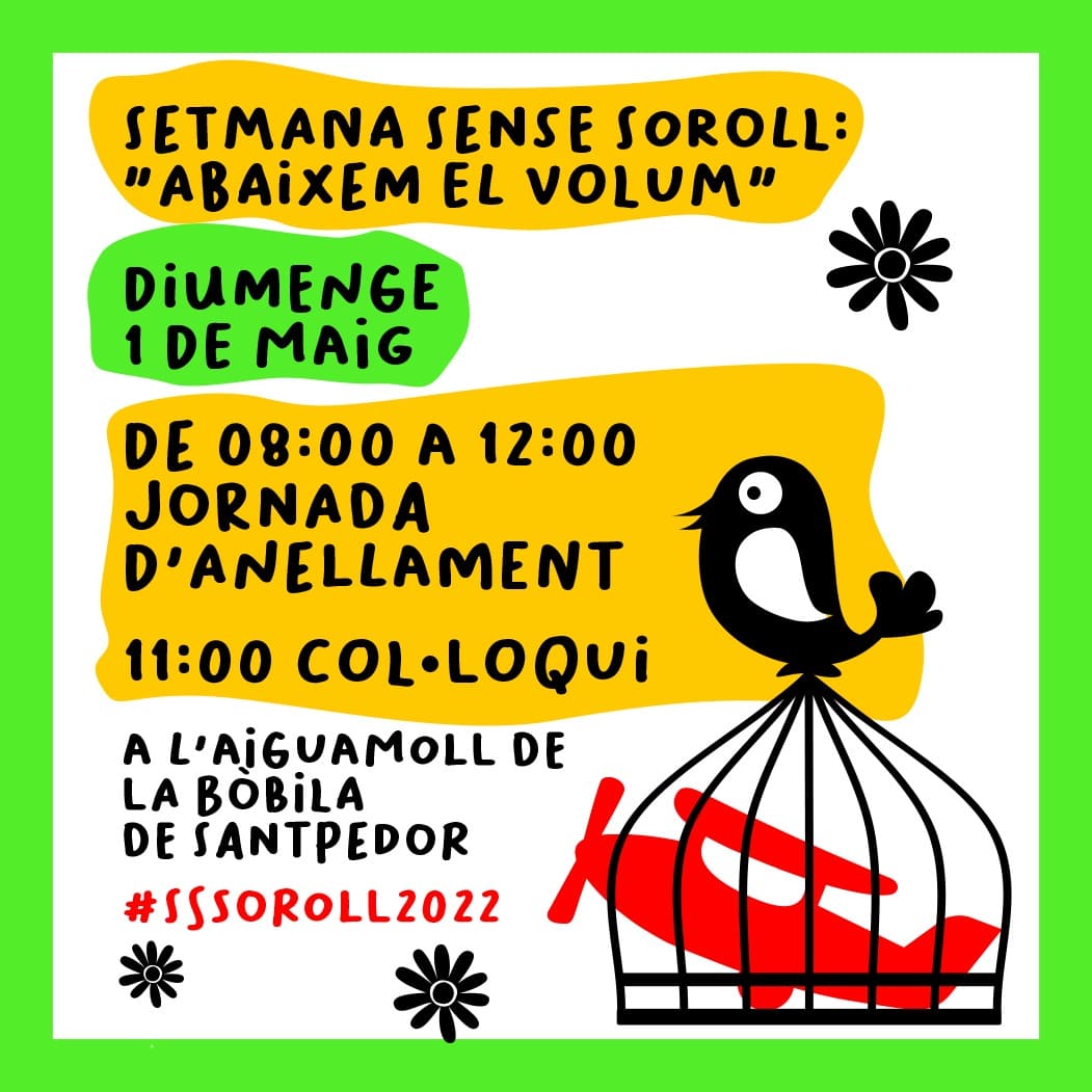 prousorollbages's tweet photo. Amb motiu de la "Setmana sense soroll" organitzada pel Departament de Medi Ambient de la Generalitat de Catalunya hem organitzat aquest diumenge 1 de maig una jornada d'anellament d'ocells a l'aiguamoll de la bòbila de Santpedor de la mà de l'ornitòleg Marc Illa. https://t.co/RE5SWduQXS