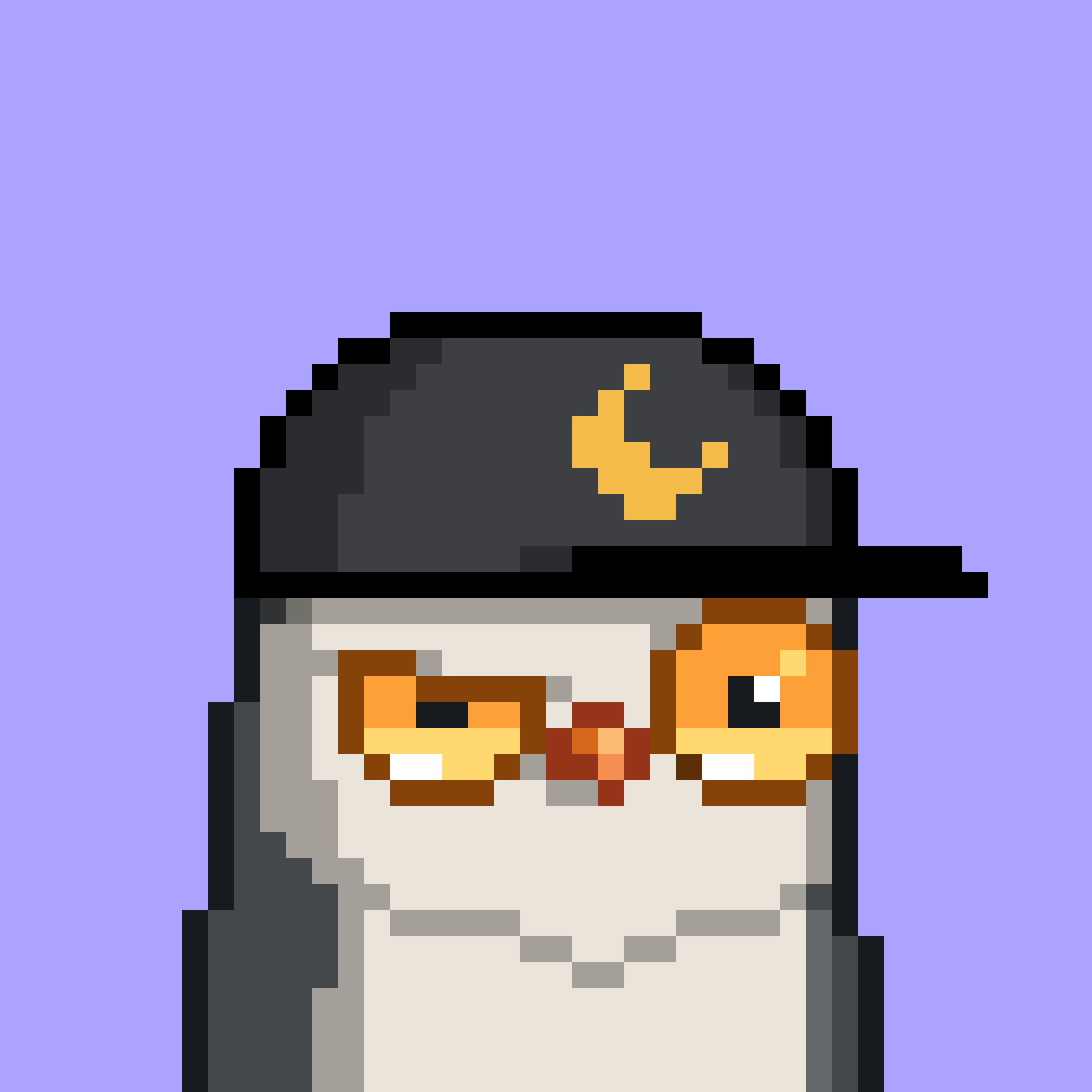 NFTprodigy_eth's tweet photo. @ryancarson @moonbirds https://t.co/7xCNaeOB2T