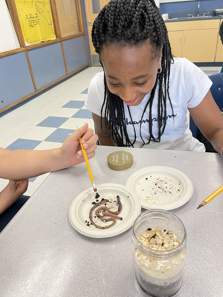 To determine an earthworm’s niche! Dirt, sand, add some oats. Just add worms. .<a href="/Kieselpeeps/">Kiesel Peeps</a> <a href="/EastHills4_8/">East Hills</a>