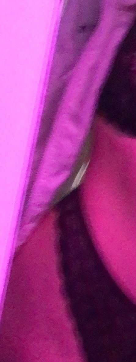 InsBkm1's tweet photo. Je vous ai manqué ou ?
Petit problème de tel mes bébé mais je reviens en bombe🥰❤️
50 rtt et je retire tout ça😏 https://t.co/IJp4ULUnuU