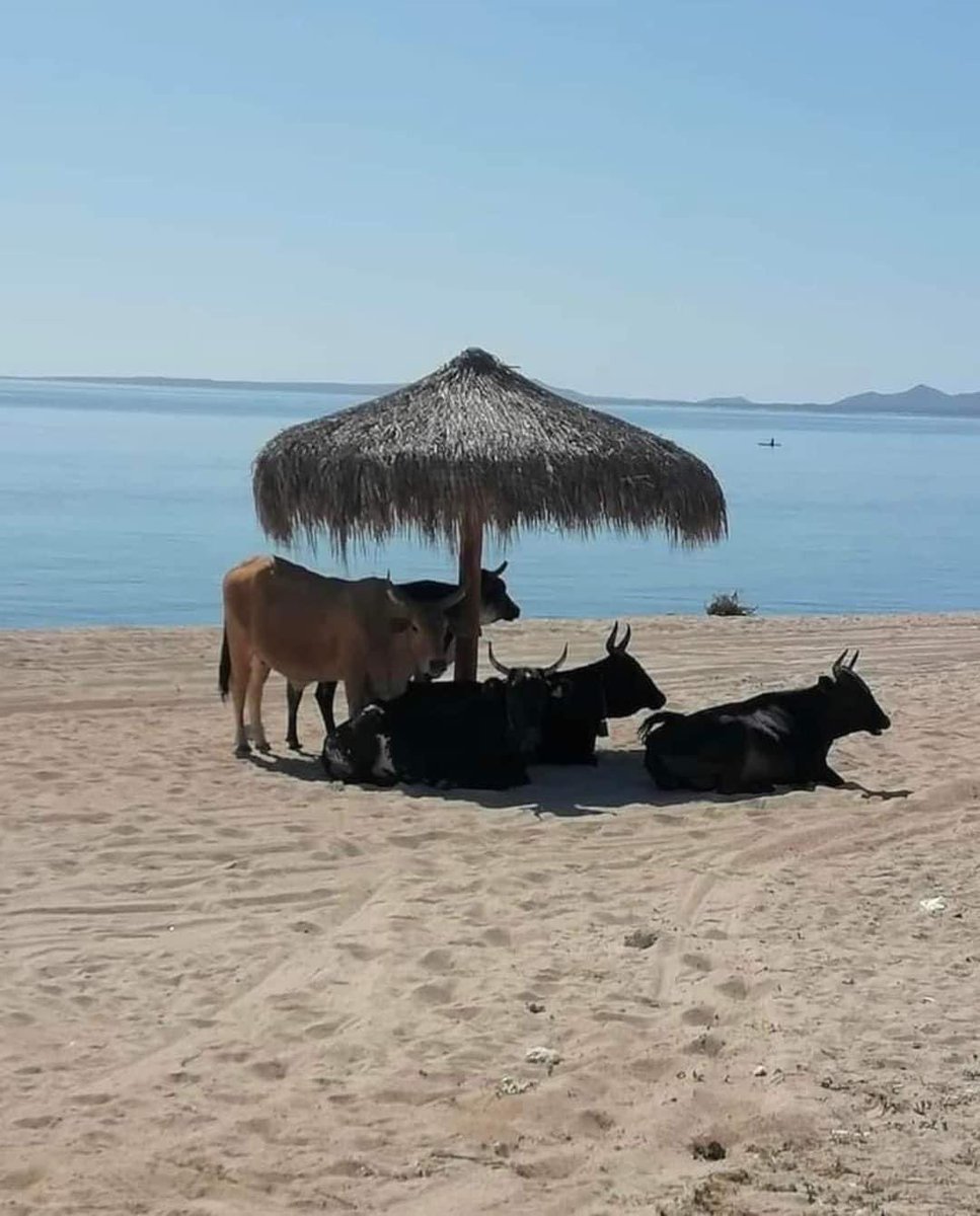 OutOFContextLPZ's tweet image. 