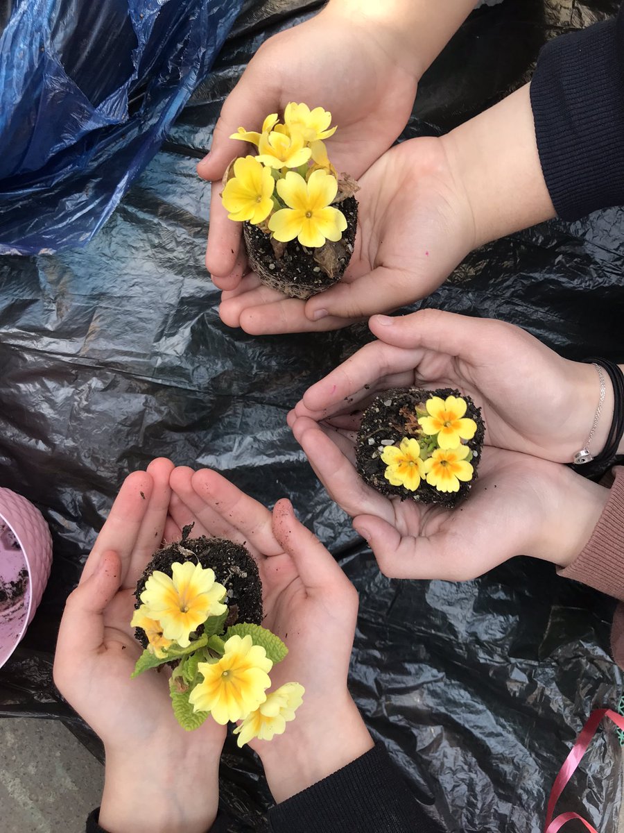 Eco “Teens” etwinning projesi kapsamında okulumuzda yeşil yaşam alanları oluşturduk #milliiradeortaokulu <a href="/sahinerkut/">Erkut ŞAHİN</a> <a href="/bekyurek/">ONUR BEKYÜREK</a> <a href="/mfvargeloglu/">MEHMET FATİH VARGELOĞLU</a> <a href="/burcakARGE/">BURÇAK ÖZYURT</a> <a href="/tretwinning/">eTwinning Türkiye</a> <a href="/eTwinningDestek/">eTwinning Projects Dissemination</a> <a href="/altinordu_mem/">Altınordu İlçe Milli Eğitim Müdürlüğü</a> <a href="/OrduARGE/">OrduARGE52</a> <a href="/yasintheteacher/">Yasin Kaplan</a> @RabiaK_ELT @NeslihanABBSGLU <a href="/mrymckroglu/">Meryem Çakıroğlu Ecir</a>