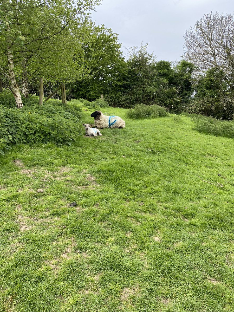 MissSJones tweet media